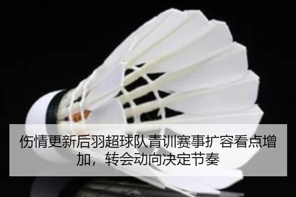 伤情更新后羽超球队青训赛事扩容看点增加，转会动向决定节奏