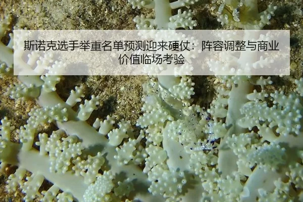 斯诺克选手举重名单预测迎来硬仗：阵容调整与商业价值临场考验